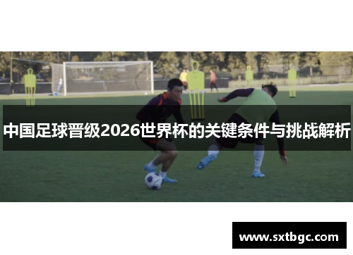 中国足球晋级2026世界杯的关键条件与挑战解析
