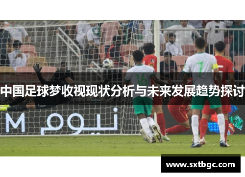 中国足球梦收视现状分析与未来发展趋势探讨