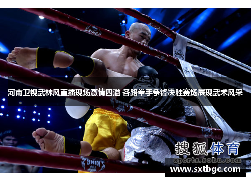 河南卫视武林风直播现场激情四溢 各路拳手争锋决胜赛场展现武术风采